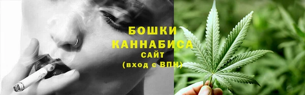 соль ск Медвежьегорск