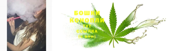 бошки Мегион