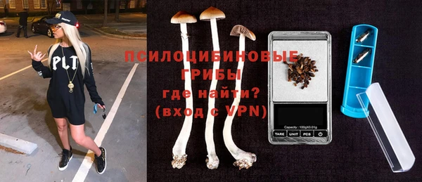 соль ск Медвежьегорск