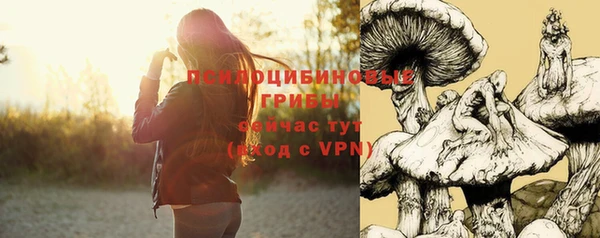 соль ск Медвежьегорск
