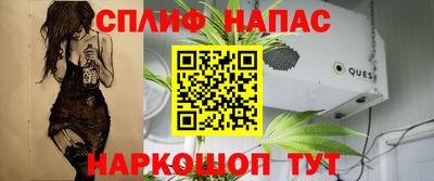 скорость Гатчина