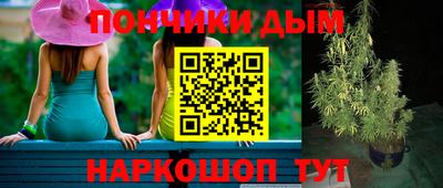 скорость Гатчина