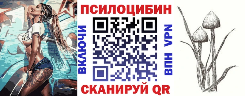 дарнет шоп  MEGA маркетплейс  Псилоцибиновые грибы ЛСД  Стерлитамак 