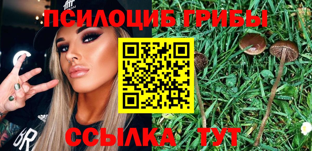 APVP СОЛЬ кристаллы  Бошки Шишки  Стерлитамак  Магазины продажи наркотиков  МДМА  Мефедрон кристаллы  Вход с VPN  ГАШИШ 